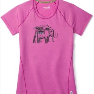 Smartwool T-shirt Merino 150 Mobile Mammoth Wool Blend Graphic Tee Mauve Pink XS